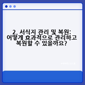 2. 서식지 관리 및 복원: 어떻게 효과적으로 관리하고 복원할 수 있을까요?