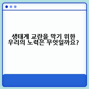 생태계 교란을 막기 위한 우리의 노력은 무엇일까요?