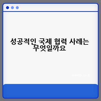 성공적인 국제 협력 사례는 무엇일까요