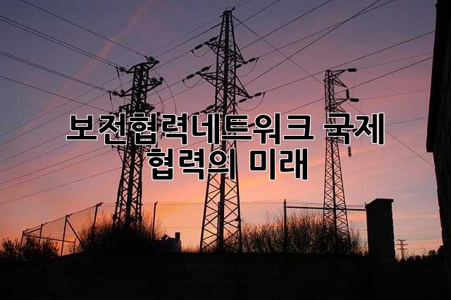 보전협력네트워크: 국제 협력의 미래