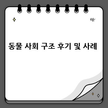 동물 사회 구조 후기 및 사례