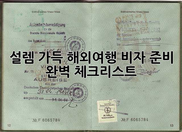 설렘 가득 해외여행! 비자 준비 완벽 체크리스트✨