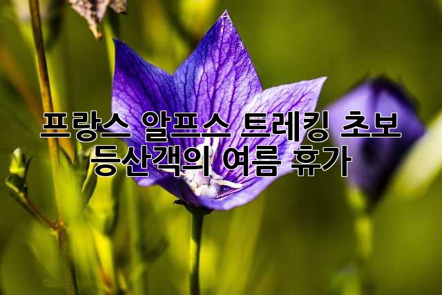 프랑스 알프스 트레킹: 초보 등산객의 여름 휴가