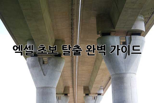 엑셀 초보 탈출: 완벽 가이드