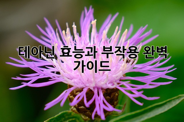 테아닌 효능과 부작용 완벽 가이드