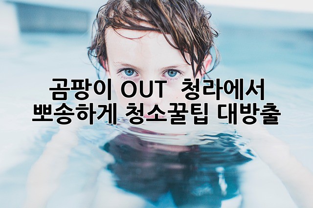 곰팡이 OUT! 💥 청라에서 뽀송하게✨ 청소꿀팁 대방출