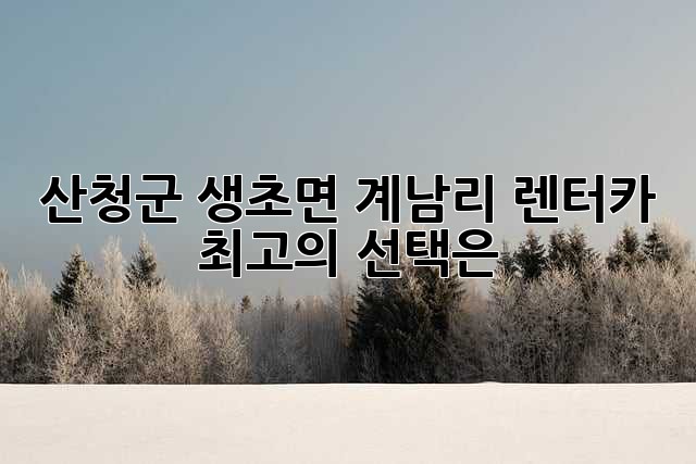 산청군 생초면 계남리 렌터카: 최고의 선택은?